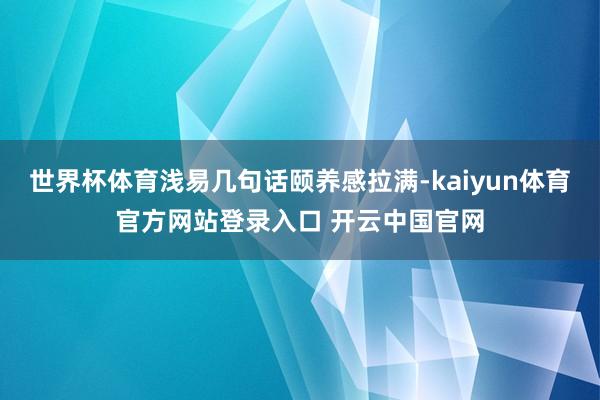 世界杯体育浅易几句话颐养感拉满-kaiyun体育官方网站登录入口 开云中国官网