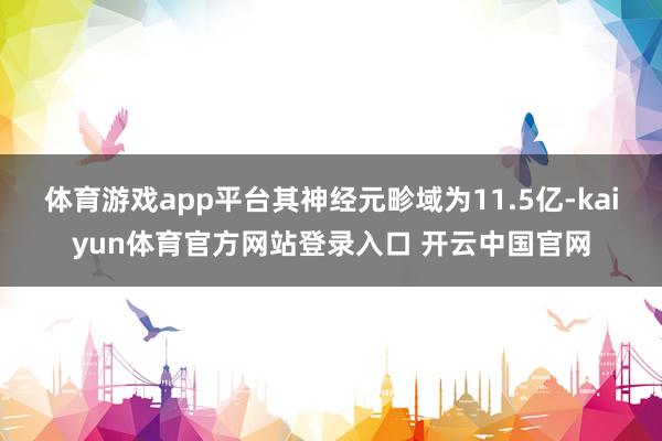 体育游戏app平台其神经元畛域为11.5亿-kaiyun体育官方网站登录入口 开云中国官网