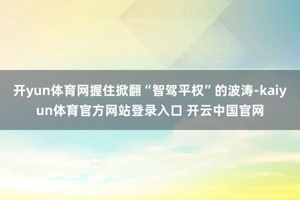 开yun体育网握住掀翻“智驾平权”的波涛-kaiyun体育官方网站登录入口 开云中国官网