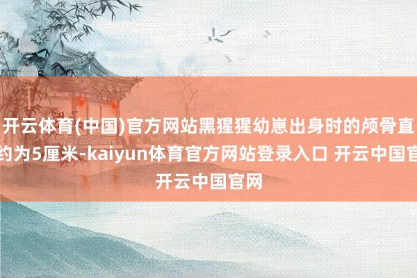 开云体育(中国)官方网站黑猩猩幼崽出身时的颅骨直径约为5厘米-kaiyun体育官方网站登录入口 开云中国官网