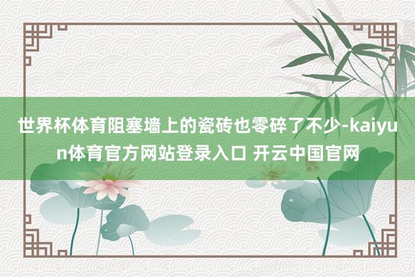 世界杯体育阻塞墙上的瓷砖也零碎了不少-kaiyun体育官方网站登录入口 开云中国官网