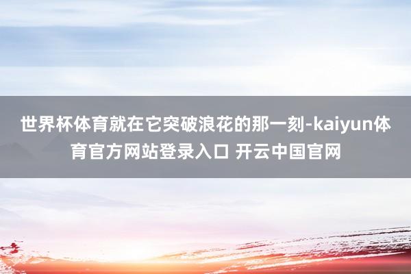世界杯体育就在它突破浪花的那一刻-kaiyun体育官方网站登录入口 开云中国官网