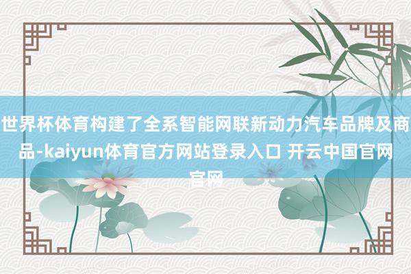 世界杯体育构建了全系智能网联新动力汽车品牌及商品-kaiyun体育官方网站登录入口 开云中国官网